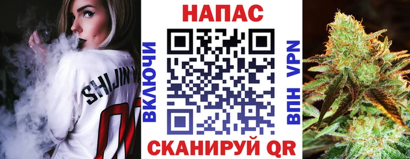 Шишки марихуана сатива  Элиста 